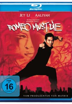 Romeo Must Die (2000) BRRip 420p 325MB Dual Audio