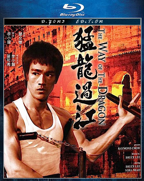 The Way of the Dragon (1972) 