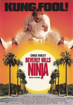 Beverly Hills Ninja (1997) [Dual Audio] [Hindi-English] DVDRip