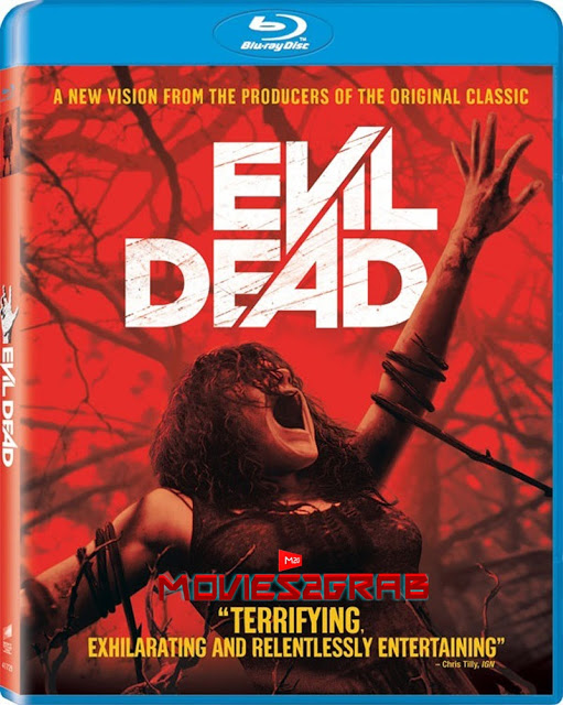 Evil Dead (2013) Dual Audio