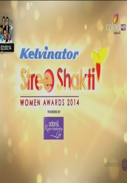 Stree Shakti Awards (2014) HDTVRip 350MB 1080P