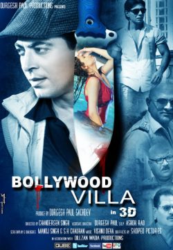 Bollywood Villa 2014 Hindi Movie Free Download 480p 350MB