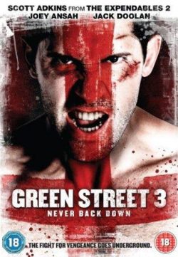 Green Street 3 Never Back Down (2013) Hindi Dubbed Movie Free Download 480p 300MB