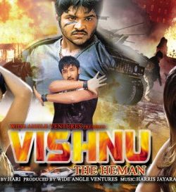Vishnu The Heman (2003) Hindi Dubbed Movie Free Download In HD 480p 250MB