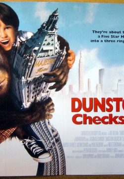 Dunston Checks In (1996) 250MB Dual Audio