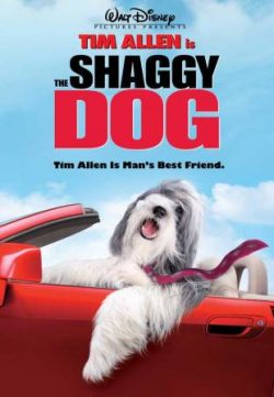 The Shaggy Dog (2006) Hindi Dubbed 250MB