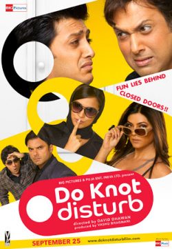Do Knot Disturb (2009) Hindi Movie DVDRip 480P 300MB Download