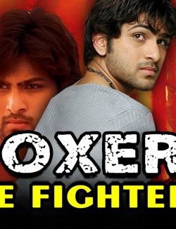 Boxer The Fighter (2015) Hindi Dubbed 480p