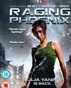 Raging Phoenix (2009) Dual Audio DVDRIp Download 400MB