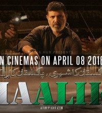 Maalik Pakistani Full Movie Watch Online DVDRip 480p