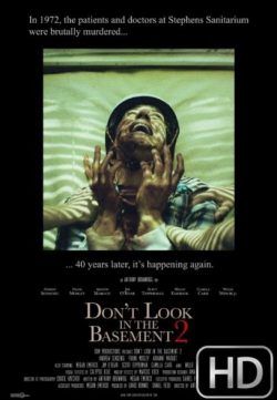 Dont Look In The Basement 2 (2015) WEB-DL 350MB