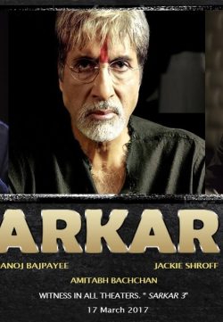Sarkar 3 (2017) Hindi Desi pDVDRip 700MB